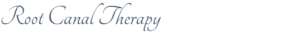 Dentist Rolling Meadows Root Canal Therapy