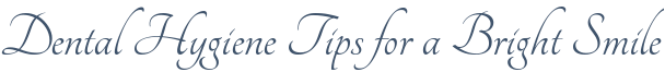 Dentist Rolling Meadows Dental Hygiene Tips for a Bright Smile