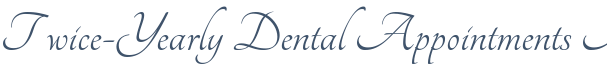 Dentist Rolling Meadows Twice-Yearly Dental Appointments Are Necessary For